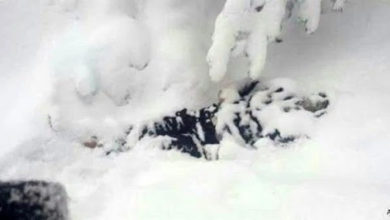 Photo of Twenty-five Taliban members were killed in a snowstorm in Paktia