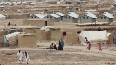 تصویر حضور بیش از 72 هزار پناهجوی ایرانی و پاکستانی در افغانستان