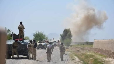 تصویر یک فرد کلیدی طالبان در سمنگان بازداشت شد