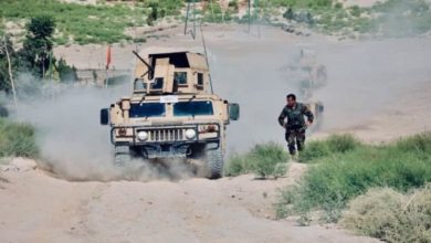 تصویر ۲۸ جنگجوی طالب به شمول ۳ عضو برجسته این گروه در هلمند کشته شدند
