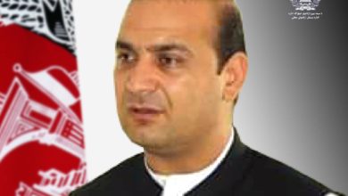 تصویر مسعود باختر به عنوان والی فراه منصوب شد