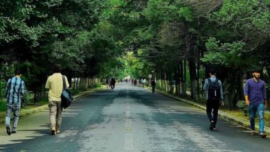تصویر وزارت صحت‌عامه از تمدید تعطیلی دانشگاه‌ها، مکاتب، و کورس‌ها در ۱۶ ولایت خبر داد