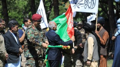 تصویر ۱۵۰ جنگجوی طالب در هرات به پروسه صلح پیوستند