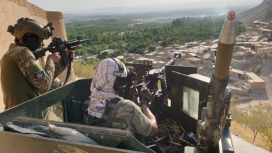 Farah’ta iki önemli Taliban üyesi öldürüldü fotoğrafı