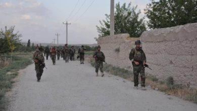 Son 24 saatte 12 ilde 165 Taliban militanı öldürüldü ve yaralandı. fotoğrafı