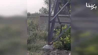 تصویر یک پایه برق وارداتی در ساحه جنگل‌باغ پروان آسیب دید