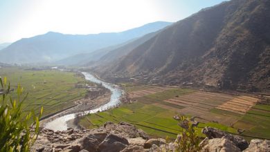 AFGANİSTAN KONUSUNDA AMERİKA İLE PAKİSTAN SAMİMİ DEĞİL fotoğrafı