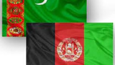 Türkmenistan-Afganistan sınırında işleme sanayi kompleksi inşa edilecek￼ fotoğrafı