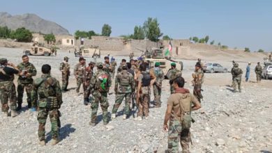 تصویر ۴۳۹ جنگجوی طالب طی ۲۴ ساعت گذشته کشته شدند