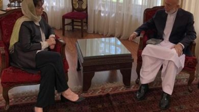 Photo of The Special Representative of the Secretary-General met with President Hamid Karzai