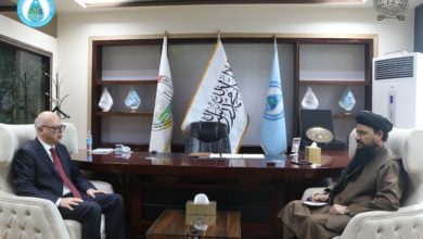 تصویر سر‍پرست وزارت آب و برق با سفیر کشور ترکیه دیدار کرد