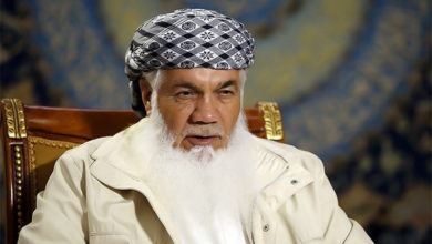 تصویر اسماعیل خان: ما افغانستان را به وارثین اصلی آن تحویل دادیم که پشتون‌ها هستند