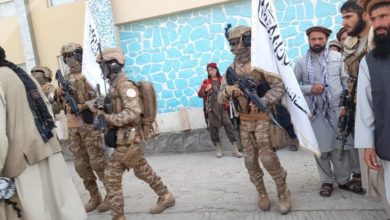 Photo of Member of the European Parliament: It is not time for the Taliban to be recognized