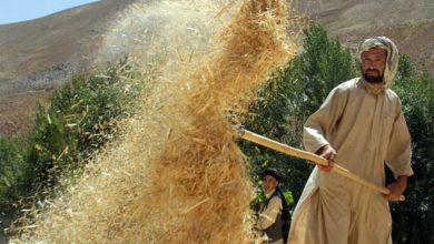 Photo of The United Nations expressed concern over the plight of farmers in Afghanistan