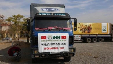 Photo of One hundred tons of wheat seeds arrived in Kabul with Turkish aid