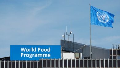 Dünya Gıda Programı, Afganistan’daki kötüleşen ekonomik durum konusunda uyardı fotoğrafı