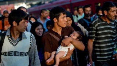 Photo of Fifteen EU member states have agreed to accept 40,000 Afghan refugees
