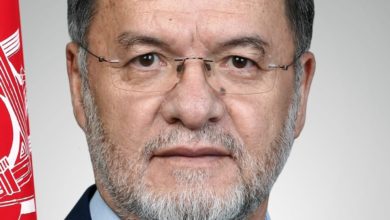 Yeni Zelanda Göçmenler Bakanlığı: Afganistan eski cumhurbaşkanı yardımcısı Danış’ın ”insan hakları savunucusu’ sığınma talebi kabul edildi fotoğrafı