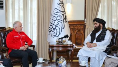 Photo of In a meeting with the head of the Turkish Red Crescent, Mottaki called for the expansion of trade relations with that country