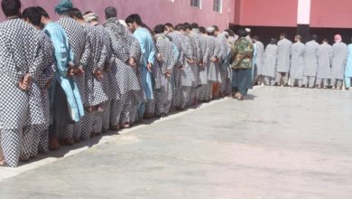 تصویر بیش از ۱۰۰ تن در هرات در پیوند به جرایم مختلف بازداشت شدند