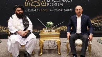 Photo of Mottaqi met with the Turkish Foreign Minister on the sidelines of the Antalya summit
