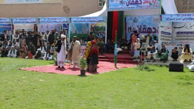 تصویر وزارت کار و امور اجتماعی: روز دهقان پنجم حمل تجلیل میشود