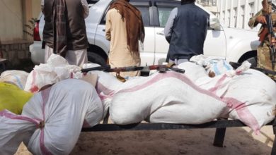تصویر سه تن در کندز به اتهام قاچاق مواد مخدر بازداشت شدند