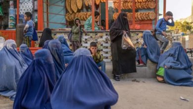 Photo of United Nations: Afghans are now facing a serious food crisis and malnutrition