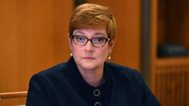 Photo of The Australian Foreign Minister called the Taliban’s decision on women’s hijab disappointing