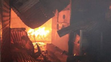 تصویر سنگال دا کسلخانه یاندی کوپ سانلی بابک اولدی