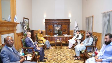 تصویر معاون کمیشنری عالی ملل متحد در امور پناهندگان با عباس استانکزی دیدار کرد