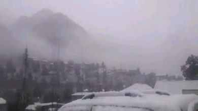 Photo of Heavy snowfall in Kunar killed 12 children