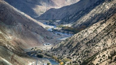 Photo of Seven Taliban fighters were killed in an insider ambush in Panjshir