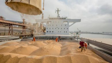 تصویر غاللا گأمیسی اوکراینانینگ اودسا شهریندن یوُلا چیقدی