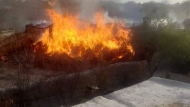 Photo of More than 50 houses in Jawzjan were burnt by natural fire