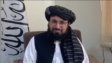 Photo of Taliban: No female UNAMA staff has been arrested in Kandahar