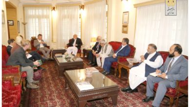 Photo of Karzai met with the head of UNAMA in Afghanistan