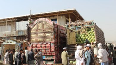 Photo of Pakistan reduced tax on Afghanistan’s export fruits