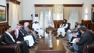 Photo of The special representative of the Secretary General of the Organization of Islamic Cooperation met with Amir Khan Motaghi in Kabul