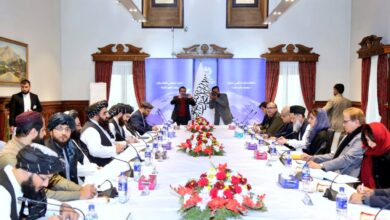 Photo of Hina Rabbani and her delegation met with the Acting Minister of Foreign Affairs of the Taliban