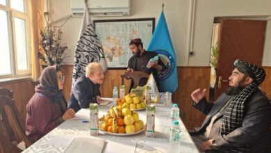 UNAMA: Afganistan dünyadaki afyonun yüzde 85’inin kaynağı fotoğrafı