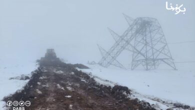 Photo of Imported electricity from Turkmenistan was temporarily connected to Herat