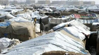 Photo of Ocha: The temperature will reach minus 35 degrees in most parts of Afghanistan this weekend