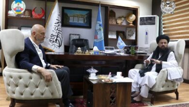 Türkiye, Afganistan’da rüzgar enerjisi üretimi alanında yatırım yapıyor fotoğrafı