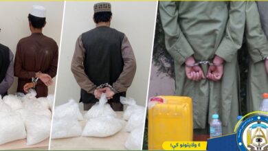 تصویر طالبان ۸ تن را در پیوند به قاچاق مواد مقدر بازداشت کردند
