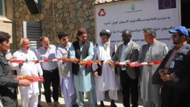 تصویر مسئولان صحی از فعال شدن سیستم تولید آکسیجن در شفاخانه ولایت بامیان خبر میدهند