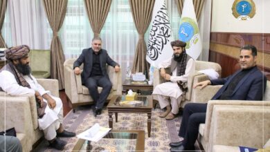 Photo of The Minister of Public Health asked Iran to establish a serum production factory in Afghanistan