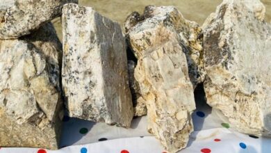 Taliban halkı 70 kilogramdan fazla değerli taş kaçakçılığını engelledi fotoğrafı