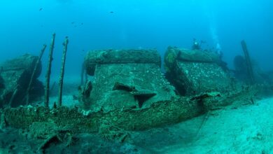 TÜRKİYE’NİN EN GÜZEL DALIŞ ROTALARI fotoğrafı
