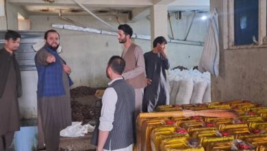 تصویر ریاست صحت‌عامه تخار بیش از ۱۰ کارخانه تولیدی را مسدود ساخت